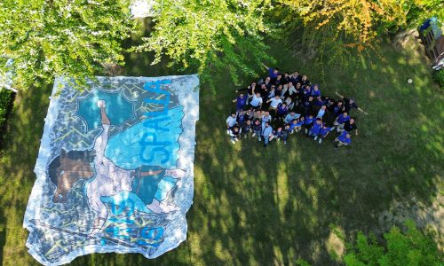 5×1000 2024: 3402 volte grazie!